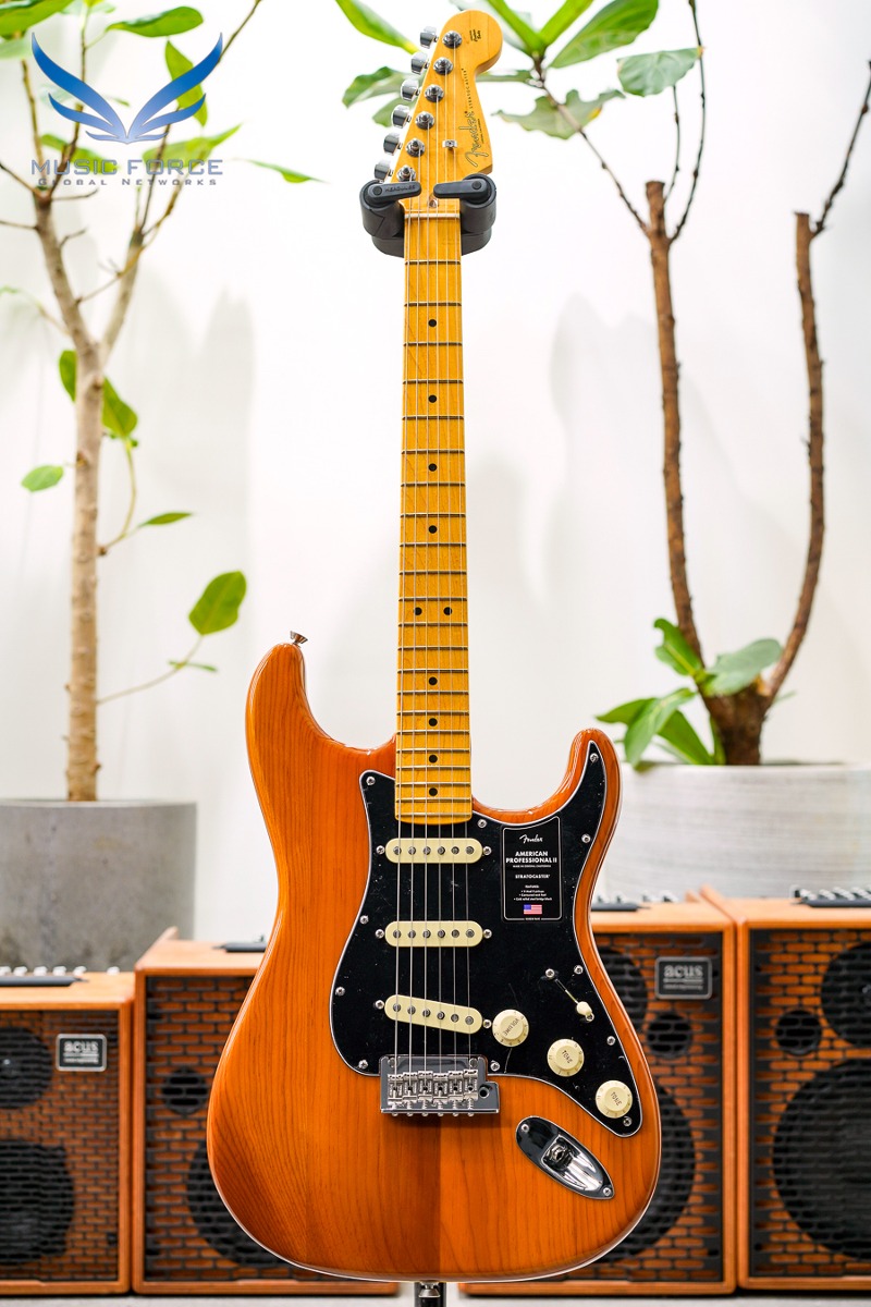 Fender USA American Professional II Stratocaster SSS-Roasted Pine w/Maple FB (신품) 펜더 아메리칸 프로페셔널 II 스트라토캐스터 - US22057021